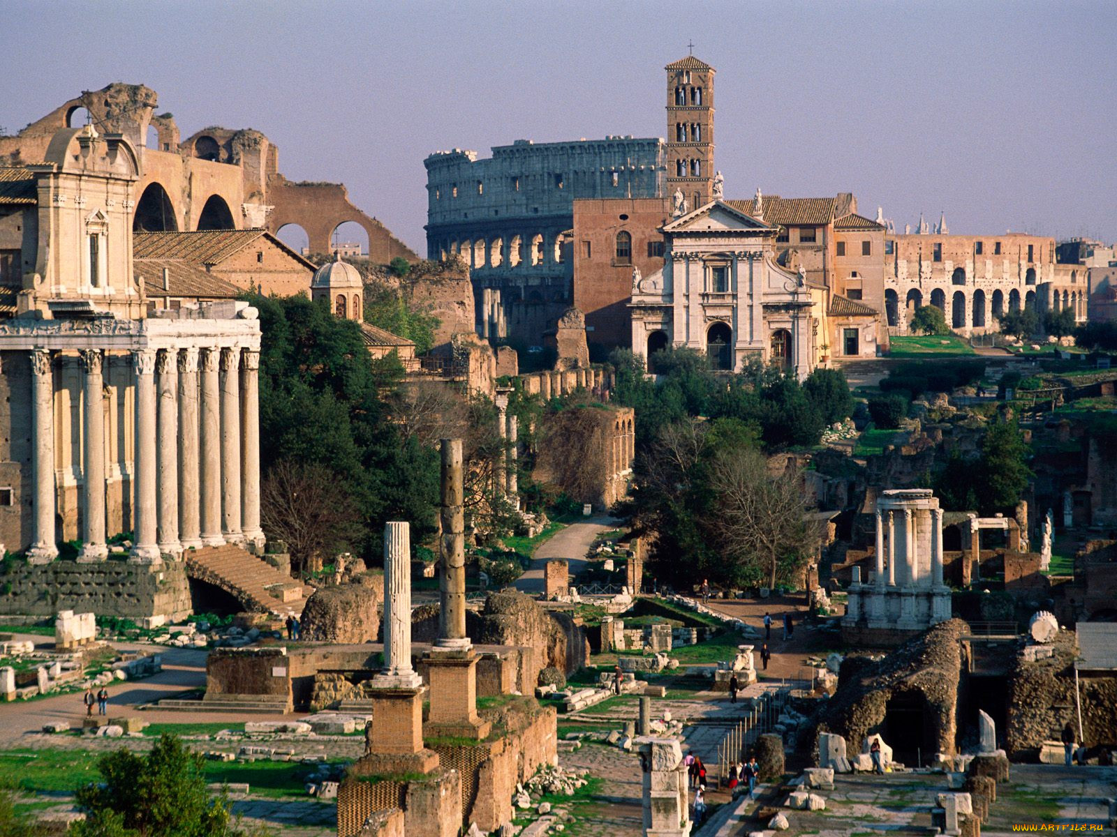 roman, forum, rome, italy, 